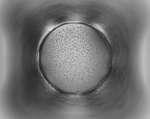 X0000086891472200704300947