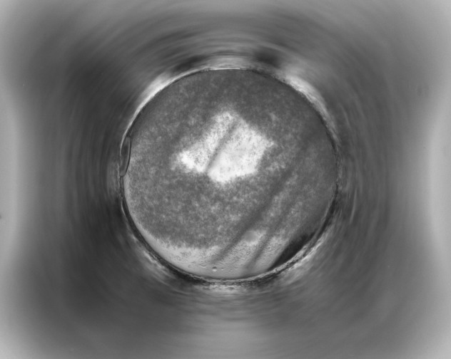 X0000086891473200704300947