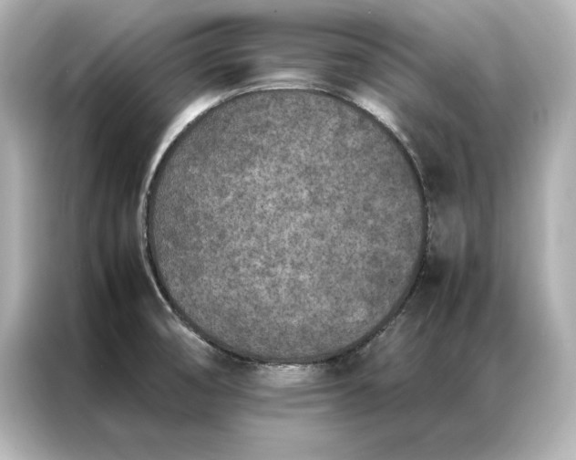 X0000086891474200704300947