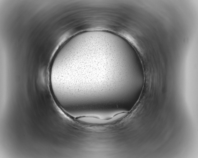 X0000086891476200704300947