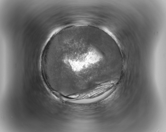 X0000086891477200704300947