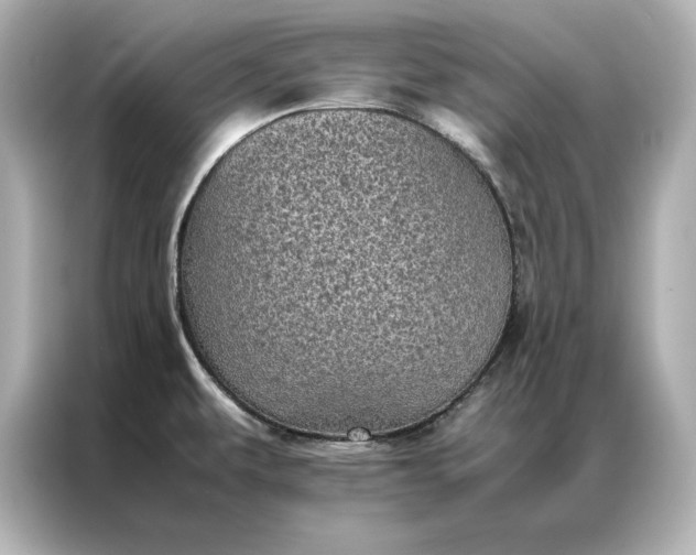 X0000086891479200704300947