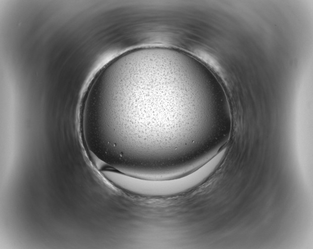 X0000086891480200704300947