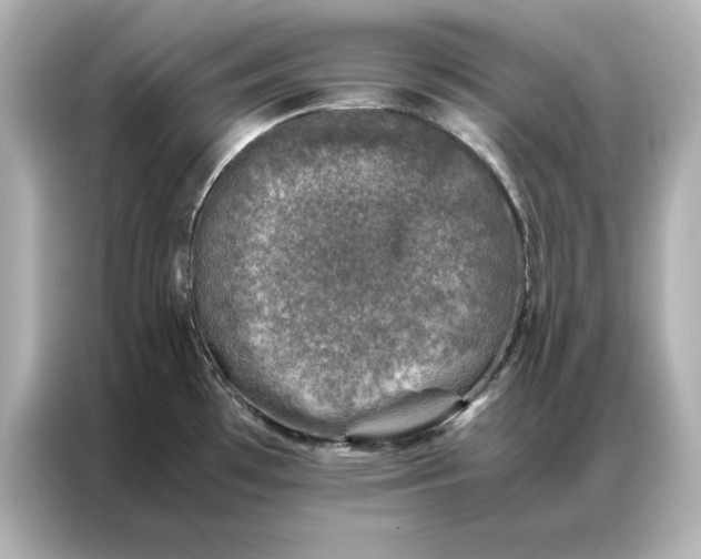 X0000086891481200704300947