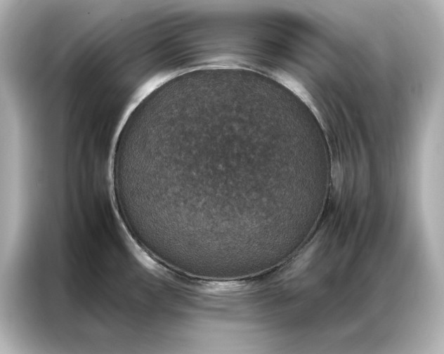 X0000086891482200704300947