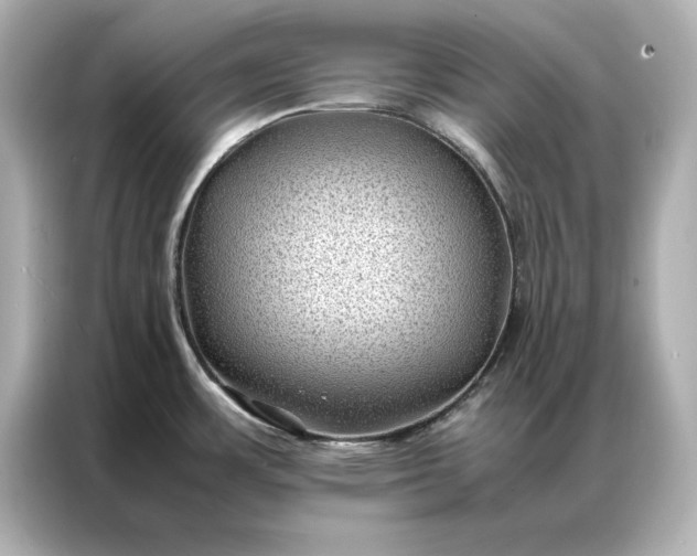 X0000086891483200704300947