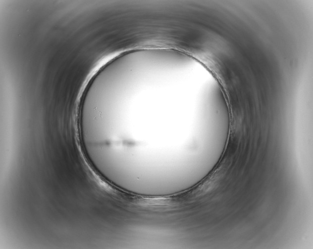 X0000086891486200704300947