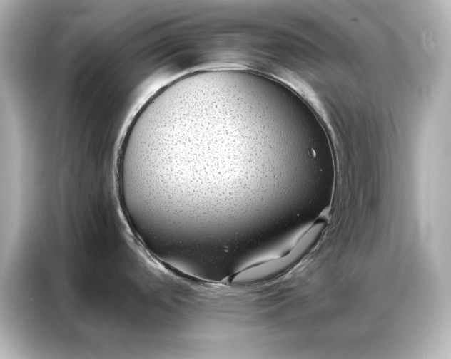 X0000086891488200704300947