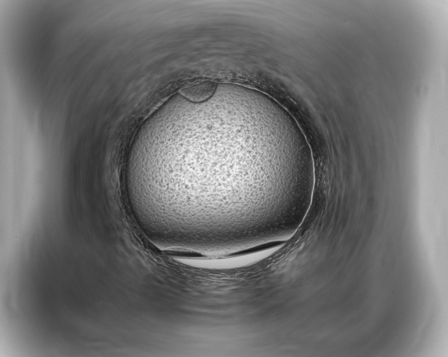 X0000086891489200704300946