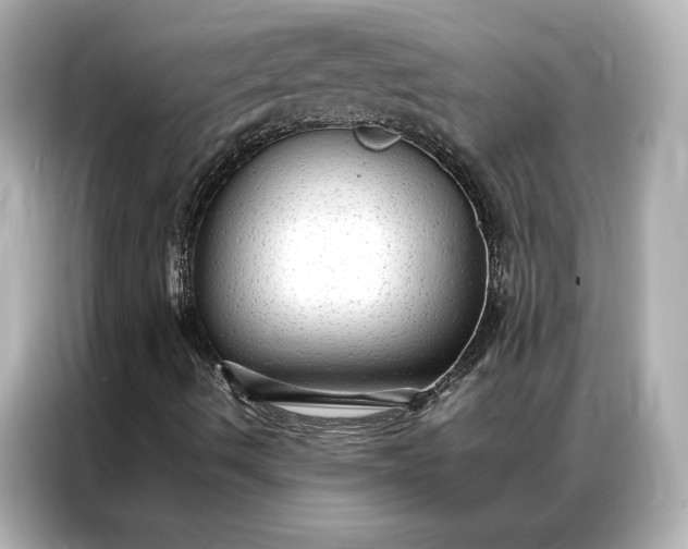 X0000086891490200704300946