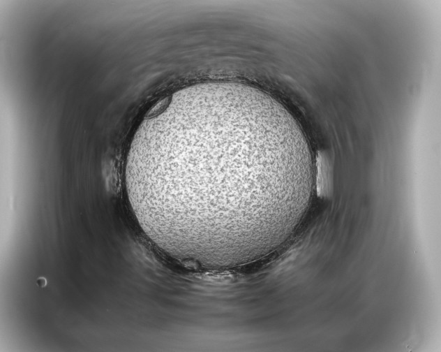 X0000086891491200704300946