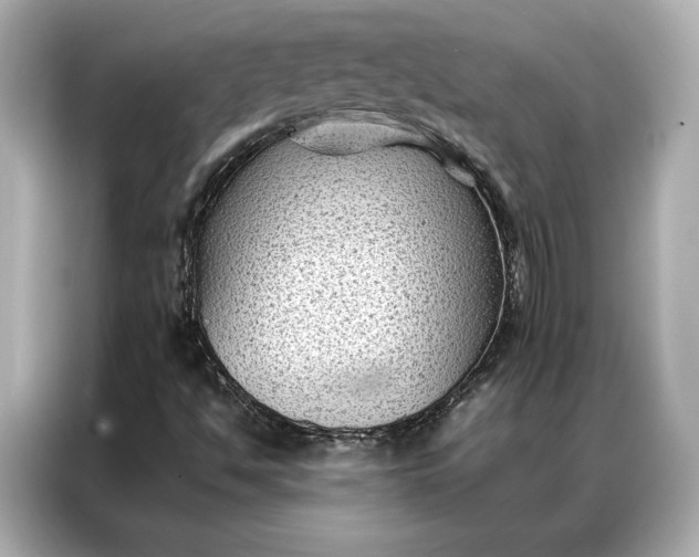 X0000086891494200704300946