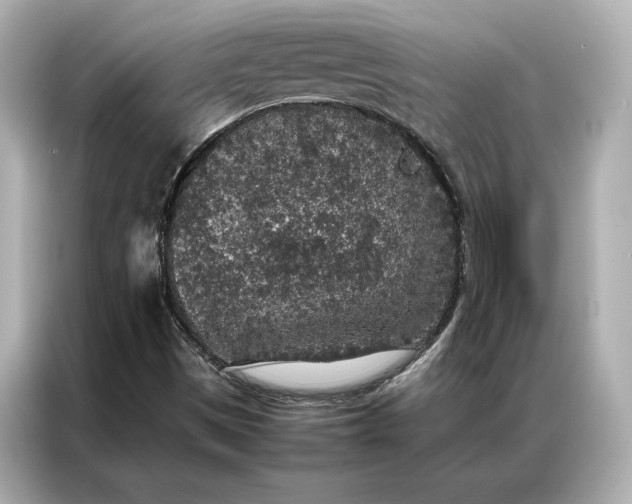 X0000086891497200704300946