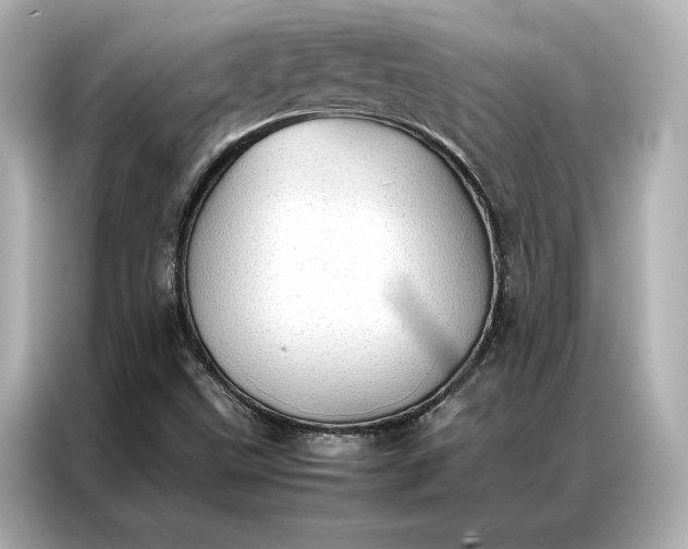 X0000086891499200704300946