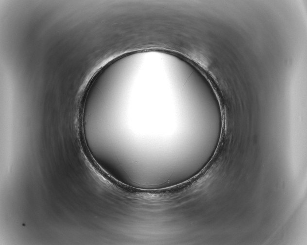 X0000086891500200704300946