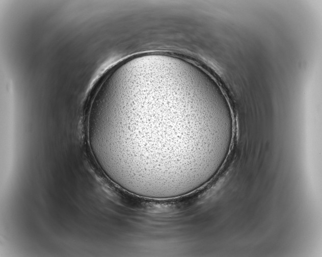 X0000086891501200704300946