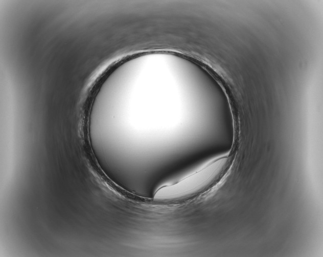 X0000086891502200704300946