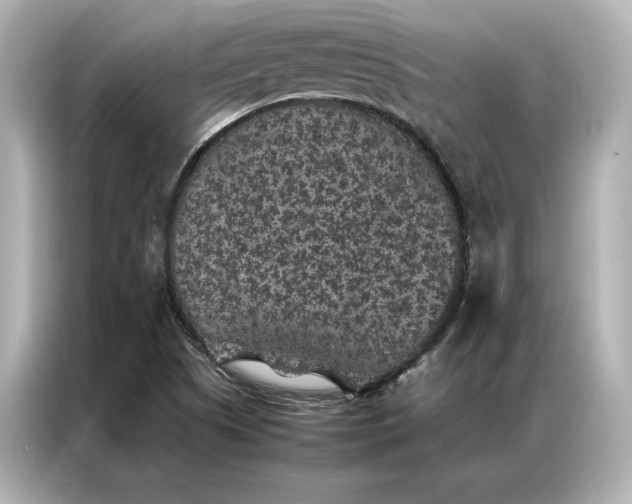 X0000086891505200704300946