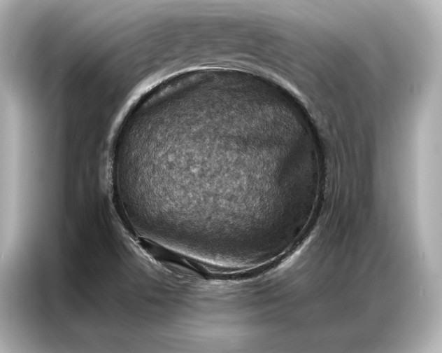 X0000086891506200704300946