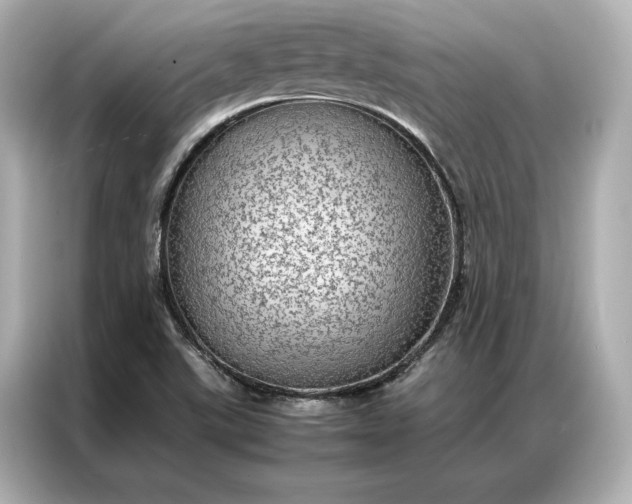 X0000086891507200704300946