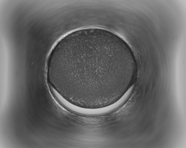 X0000086891508200704300946