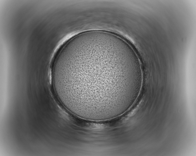 X0000086891509200704300946