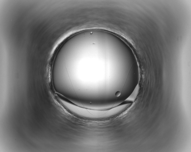 X0000086891510200704300946