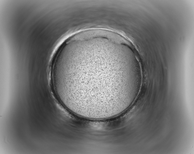 X0000086891511200704300946