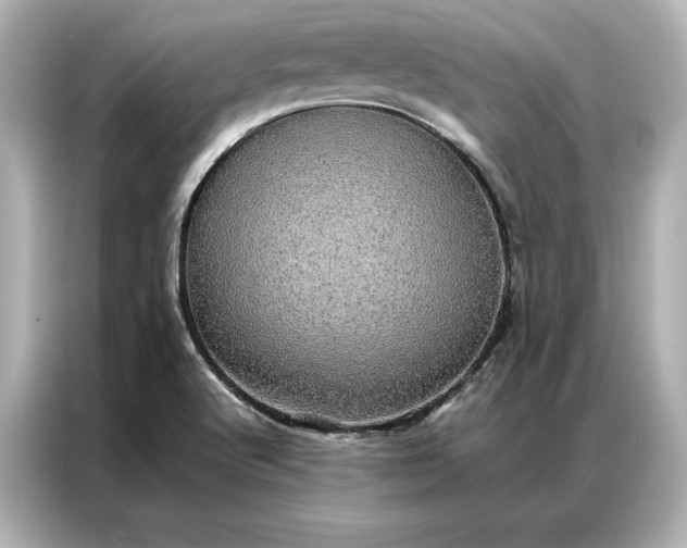 X0000086891512200704300946