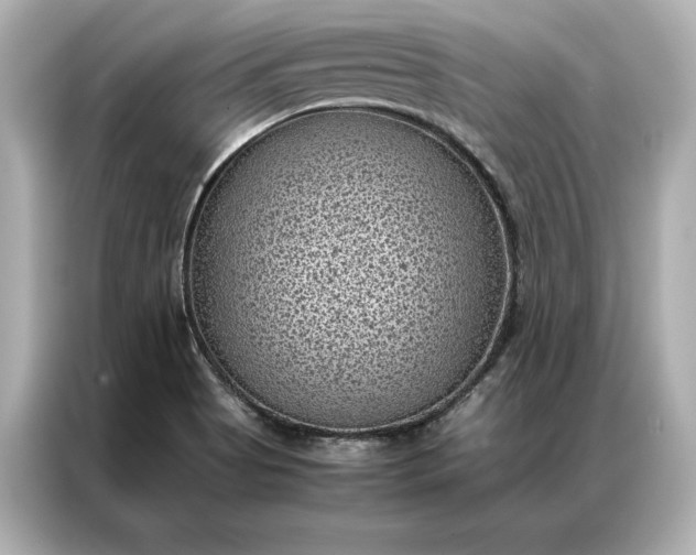 X0000086891513200704300946