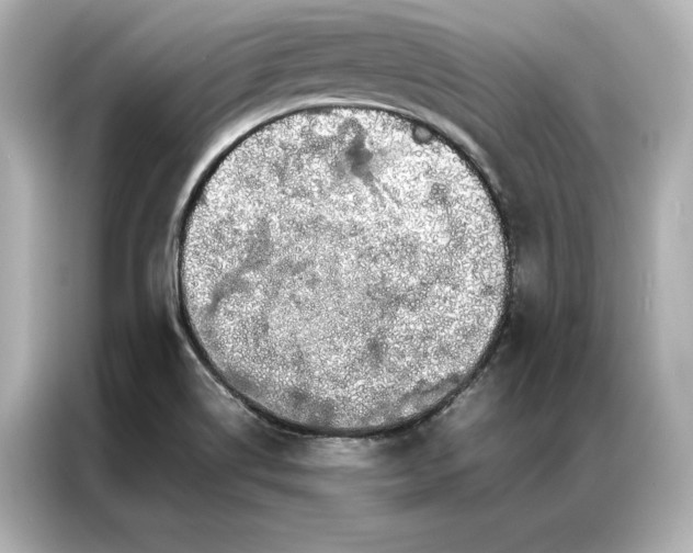 X0000086891514200704300946