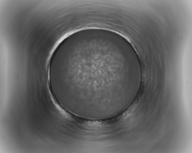 X0000086891515200704300946