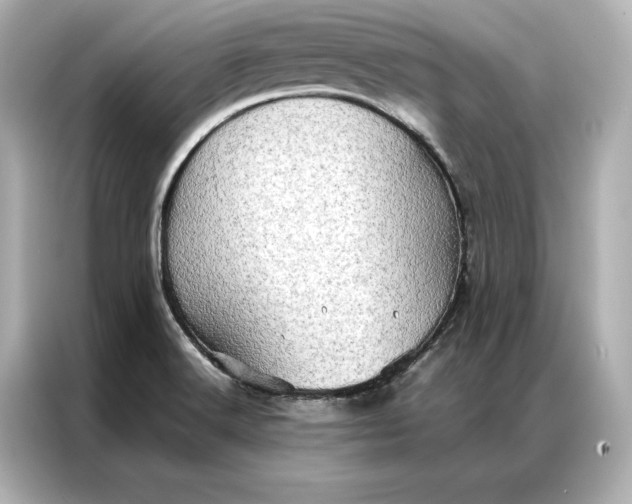 X0000086891516200704300946