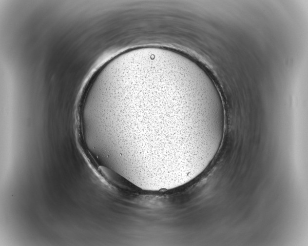 X0000086891517200704300946