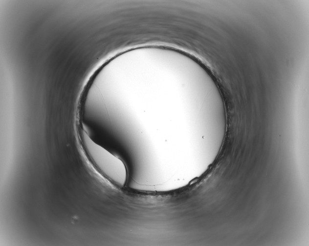 X0000086891518200704300946