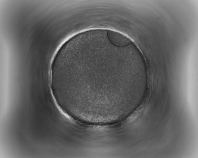 X0000086891519200704300946