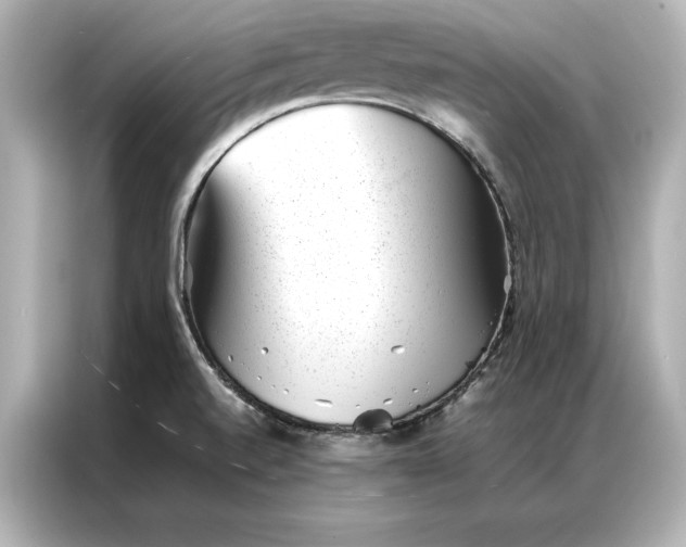 X0000086891520200704300946