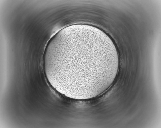 X0000086891521200704300946