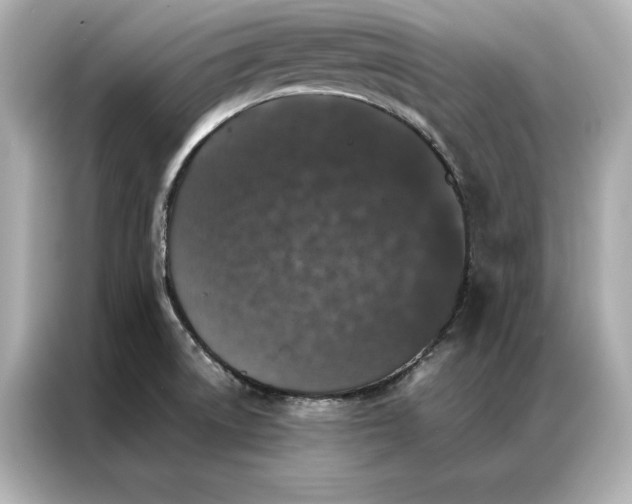 X0000086891522200704300946