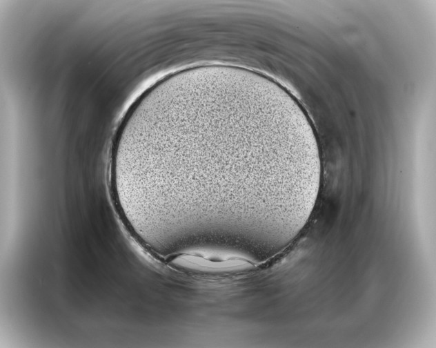 X0000086891523200704300946