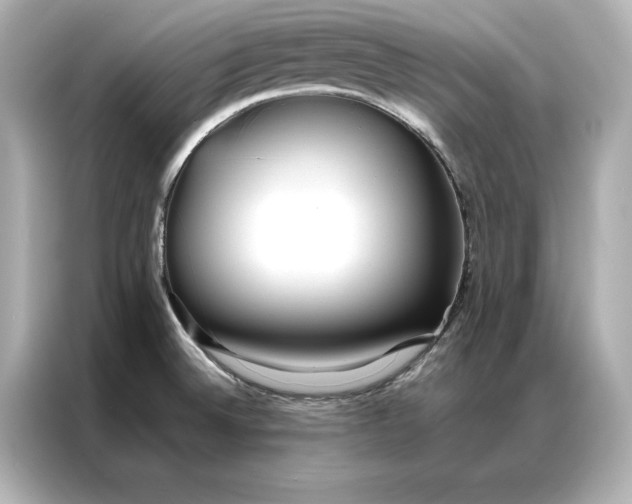 X0000086891524200704300946