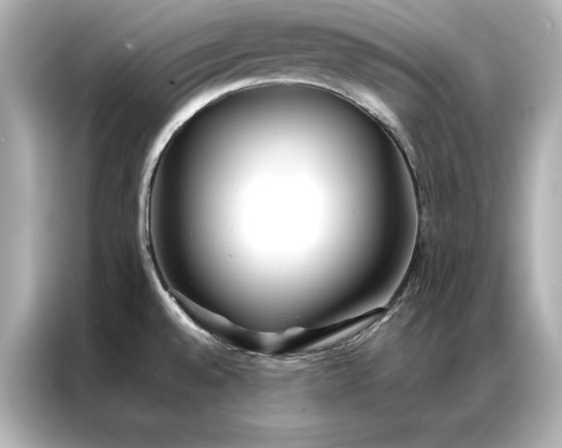 X0000086891528200704300947