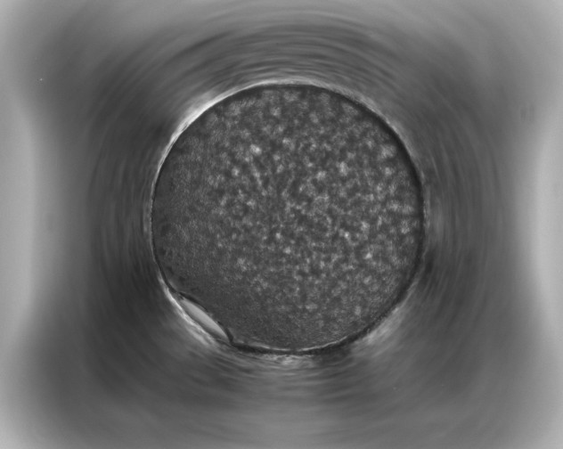 X0000086891529200704300947