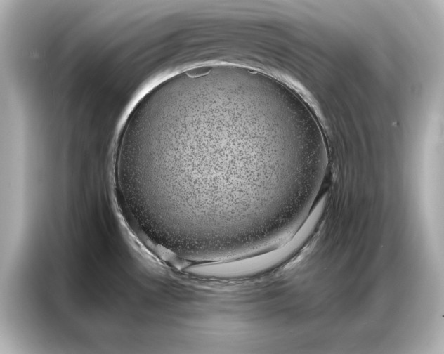 X0000086891530200704300947