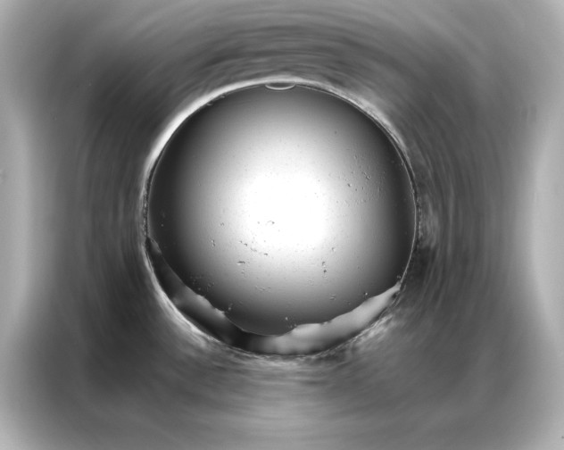 X0000086891532200704300947