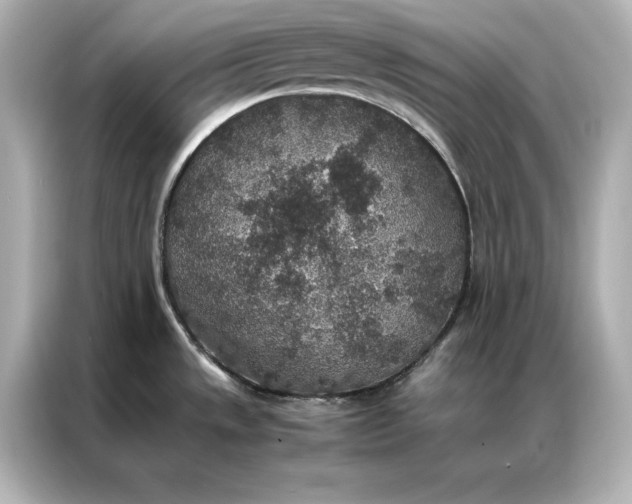 X0000086891533200704300947