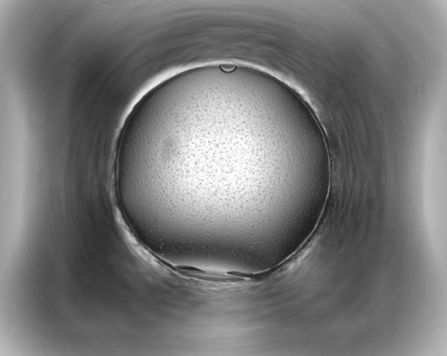 X0000086891534200704300947