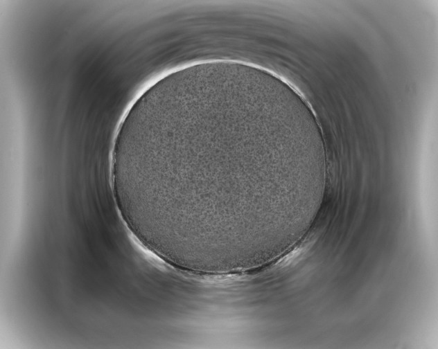 X0000086891535200704300947