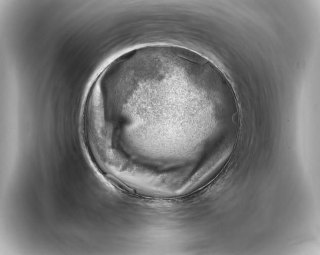 X0000086891536200704300947