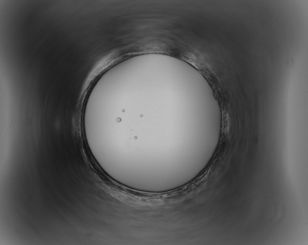 X0000086890004200705071232